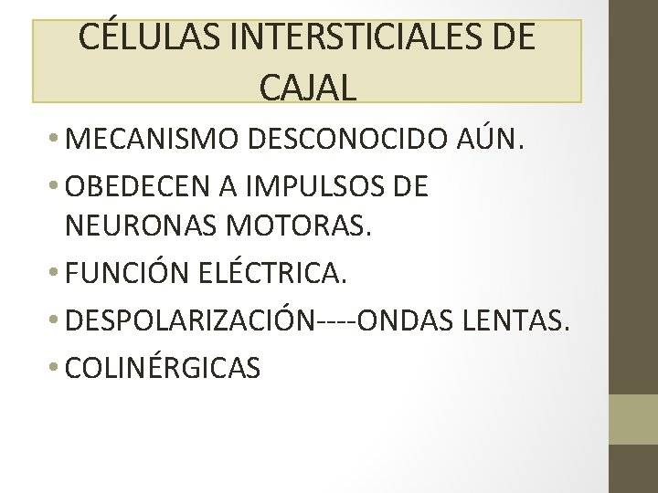 CÉLULAS INTERSTICIALES DE CAJAL • MECANISMO DESCONOCIDO AÚN. • OBEDECEN A IMPULSOS DE NEURONAS