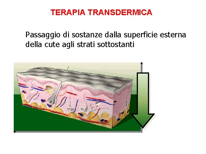 TERAPIA TRANSDERMICA Passaggio di sostanze dalla superficie esterna della cute agli strati sottostanti 