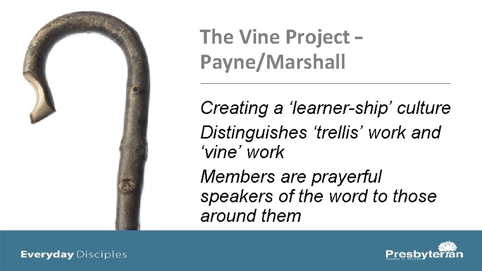 The Vine Project – Payne/Marshall Creating a ‘learner-ship’ culture Distinguishes ‘trellis’ work and ‘vine’