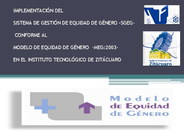 IMPLEMENTACIÓN DEL SISTEMA DE GESTIÓN DE EQUIDAD DE GÉNERO –SGEGCONFORME AL MODELO DE EQUIDAD