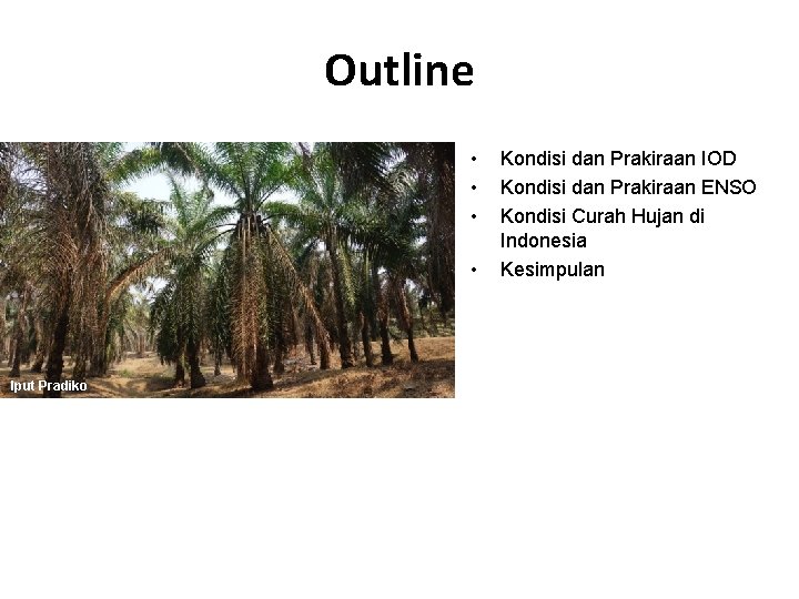 Outline • • Iput Pradiko Kondisi dan Prakiraan IOD Kondisi dan Prakiraan ENSO Kondisi