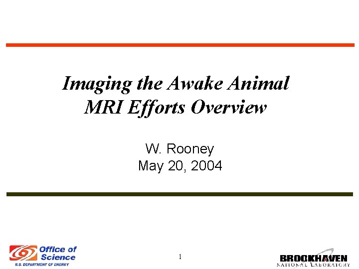Imaging the Awake Animal MRI Efforts Overview W. Rooney May 20, 2004 1 