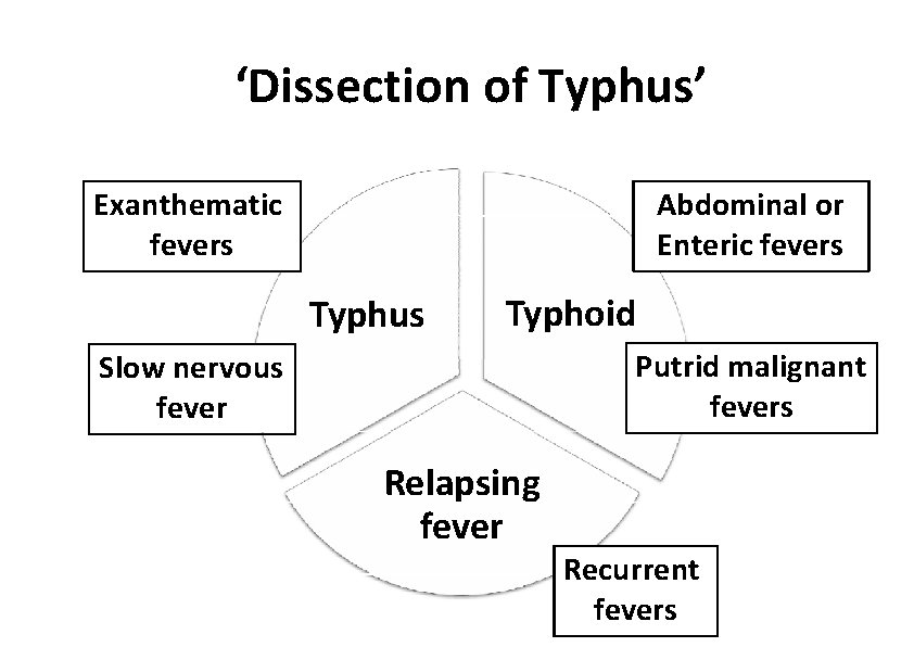 ‘Dissection of Typhus’ Exanthematic fevers Abdominal or Enteric fevers Typhus Typhoid Putrid malignant fevers