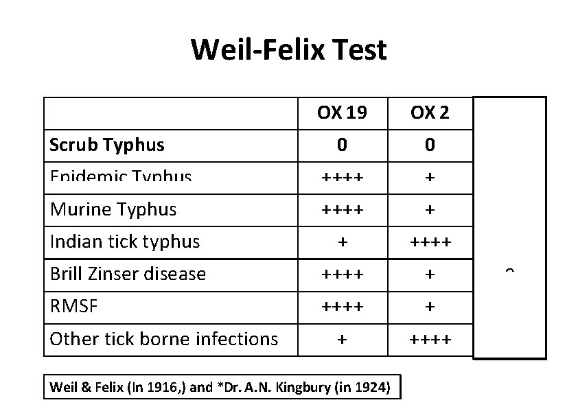 Weil‐Felix Test OX 19 OX 2 OXK* 0 0 Epidemic Typhus ++++ + +++