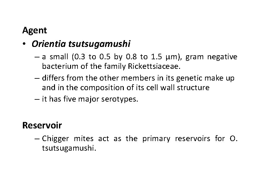 Agent • Orientia tsutsugamushi – a small (0. 3 to 0. 5 by 0.