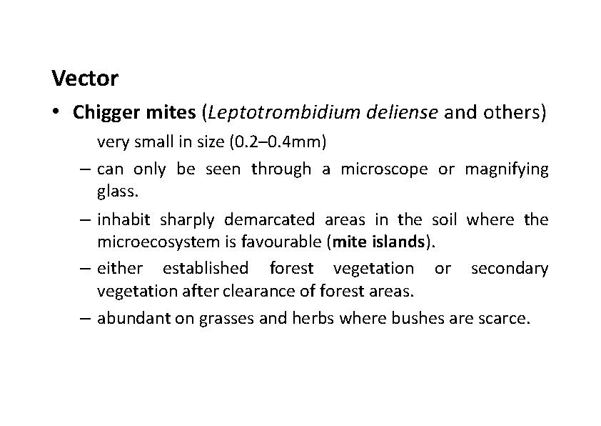 Vector • Chigger mites (Leptotrombidium deliense and others) – – very small in size