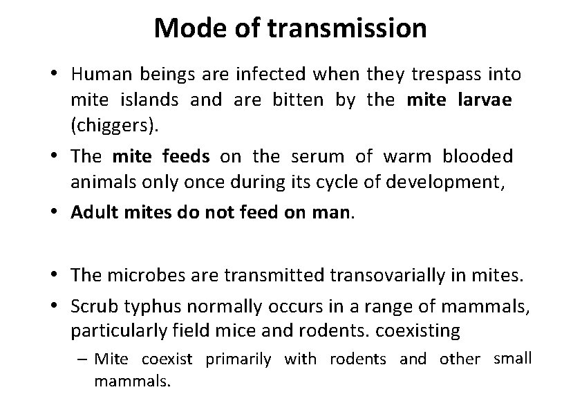 Mode of transmission • Human beings are infected when they trespass into mite islands