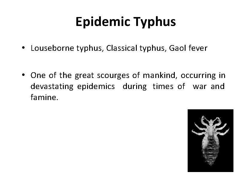 Epidemic Typhus • Louseborne typhus, Classical typhus, Gaol fever • One of the great