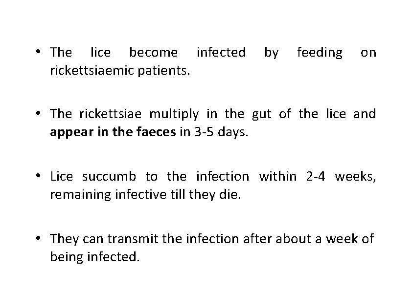  • The lice become infected rickettsiaemic patients. by feeding on • The rickettsiae