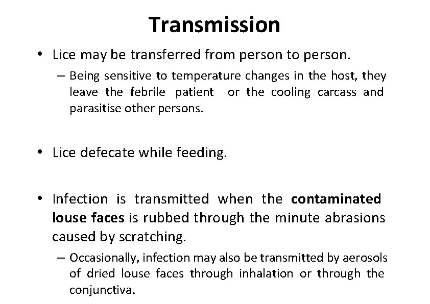 Transmission • Lice may be transferred from person to person. – Being sensitive to