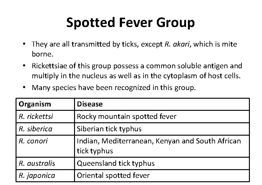 Spotted Fever Group • They are all transmitted by ticks, except R. akari, which