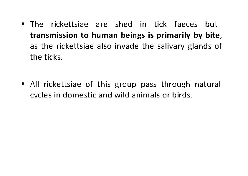 • The rickettsiae are shed in tick faeces but transmission to human beings