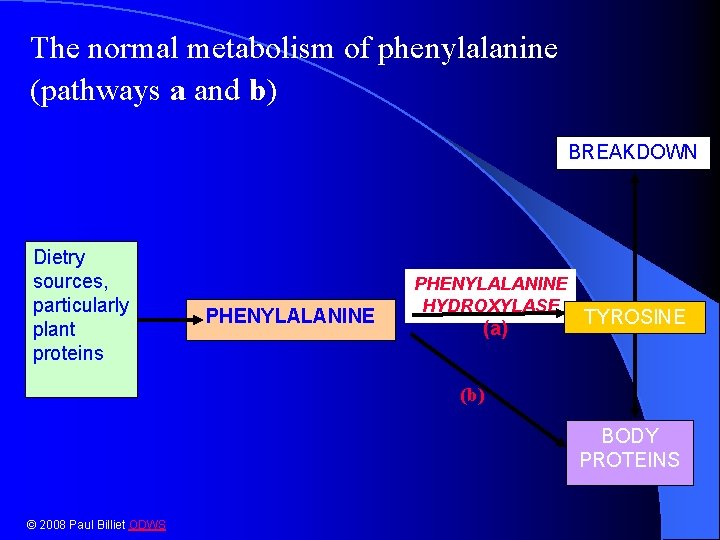 The normal metabolism of phenylalanine (pathways a and b) BREAKDOWN Dietry sources, particularly plant