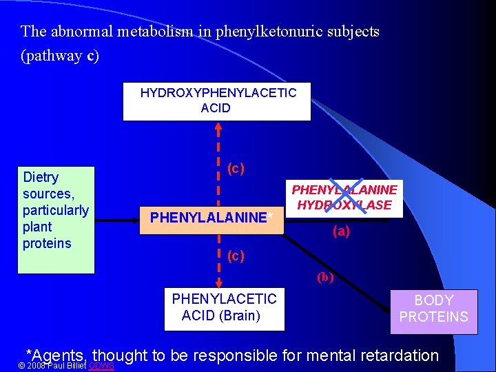 The abnormal metabolism in phenylketonuric subjects (pathway c) HYDROXYPHENYLACETIC ACID* ACID Dietry sources, particularly