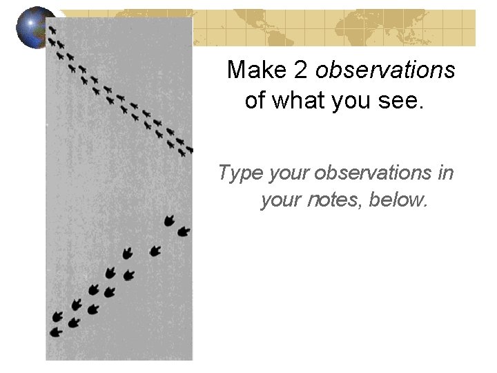 Make 2 observations of what you see. Type your observations in your notes, below.