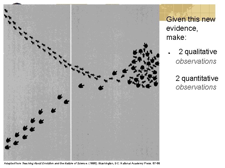 Given this new evidence, make: ● 2 qualitative observations 2 quantitative observations Adapted from