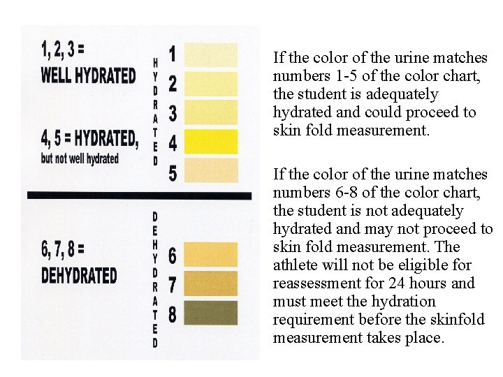 If the color of the urine matches numbers 1 -5 of the color chart,