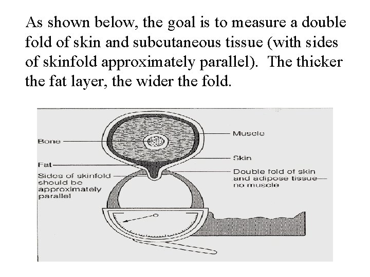 As shown below, the goal is to measure a double fold of skin and