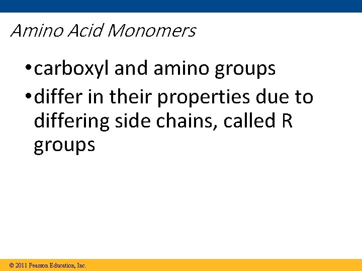 Amino Acid Monomers • carboxyl and amino groups • differ in their properties due