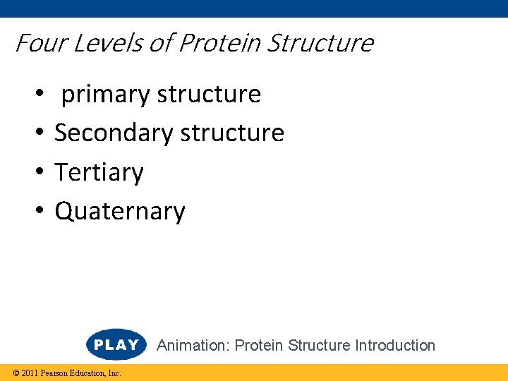 Four Levels of Protein Structure • • primary structure Secondary structure Tertiary Quaternary Animation: