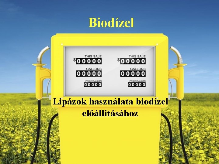 Biodízel Lipázok használata biodízel előállításához 