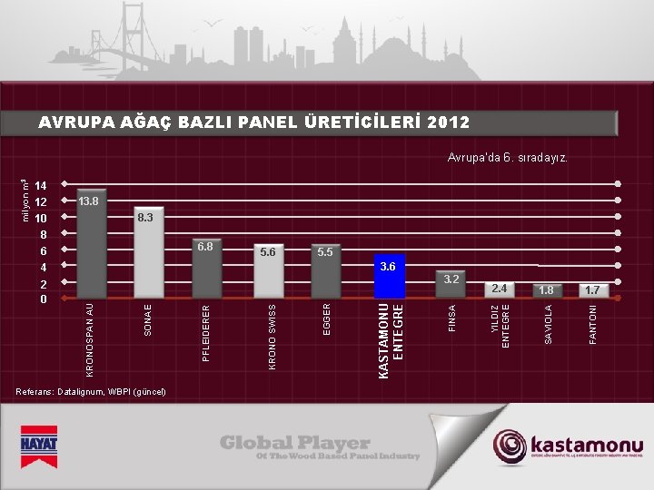 AVRUPA AĞAÇ BAZLI PANEL ÜRETİCİLERİ 2012 14 13. 8 8. 3 10 8 6