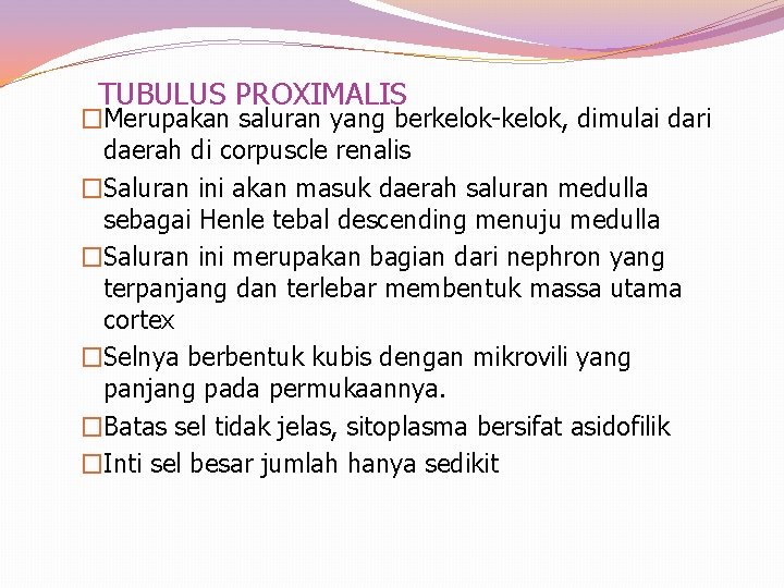 TUBULUS PROXIMALIS �Merupakan saluran yang berkelok-kelok, dimulai dari daerah di corpuscle renalis �Saluran ini