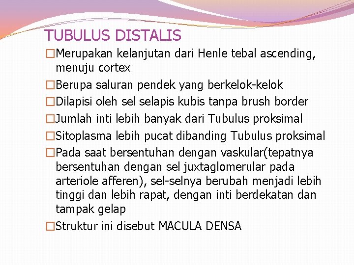 TUBULUS DISTALIS �Merupakan kelanjutan dari Henle tebal ascending, menuju cortex �Berupa saluran pendek yang