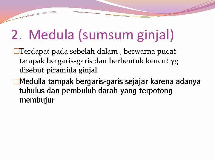 2. Medula (sumsum ginjal) �Terdapat pada sebelah dalam , berwarna pucat tampak bergaris-garis dan