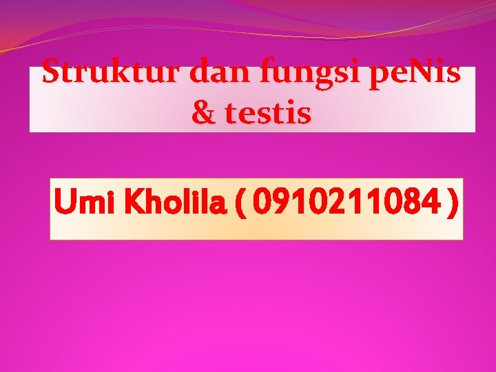 Struktur dan fungsi pe. Nis & testis Umi Kholila ( 0910211084 ) 