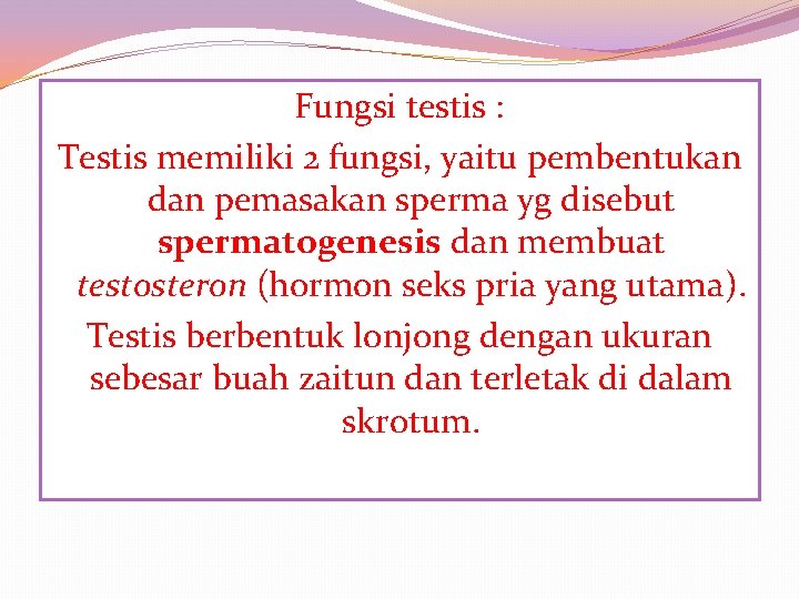 Fungsi testis : Testis memiliki 2 fungsi, yaitu pembentukan dan pemasakan sperma yg disebut