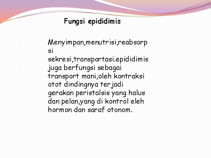 Fungsi epididimis Menyimpan, menutrisi, reabsorp si sekresi, transportasi. epididimis juga berfungsi sebagai transport mani,