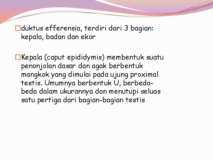 �duktus efferensia, terdiri dari 3 bagian: kepala, badan ekor �Kepala (caput epididymis) membentuk suatu