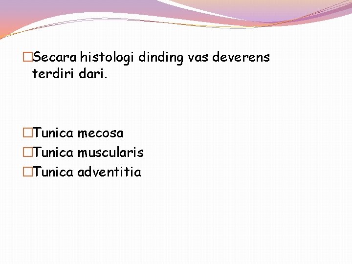 �Secara histologi dinding vas deverens terdiri dari. �Tunica mecosa �Tunica muscularis �Tunica adventitia 