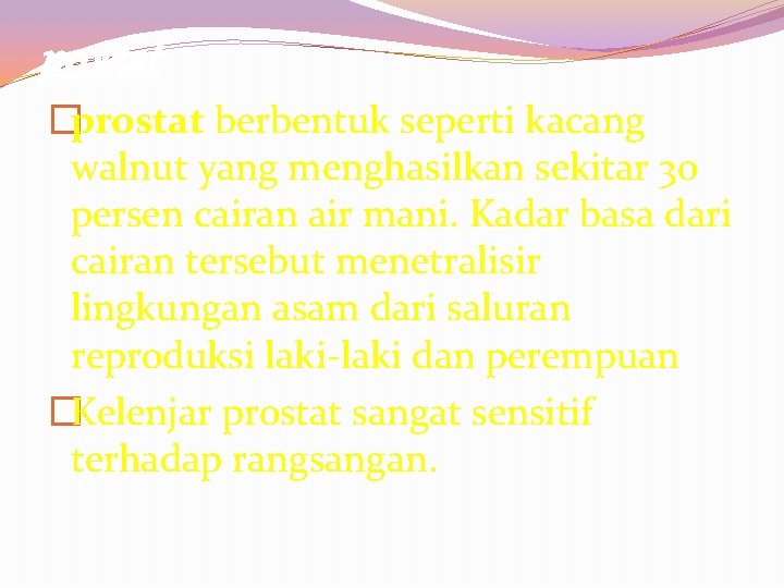 prostat �prostat berbentuk seperti kacang walnut yang menghasilkan sekitar 30 persen cairan air mani.