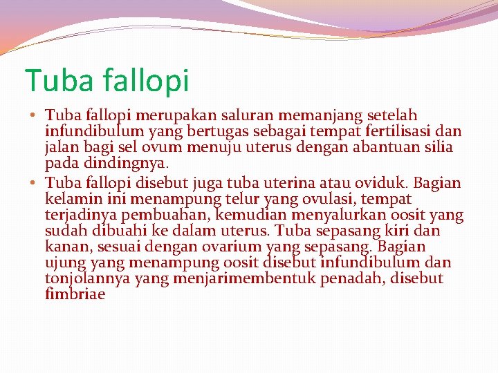 Tuba fallopi • Tuba fallopi merupakan saluran memanjang setelah infundibulum yang bertugas sebagai tempat