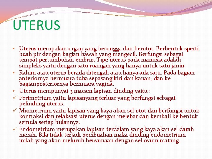 UTERUS • Uterus merupakan organ yang berongga dan berotot. Berbentuk sperti buah pir dengan
