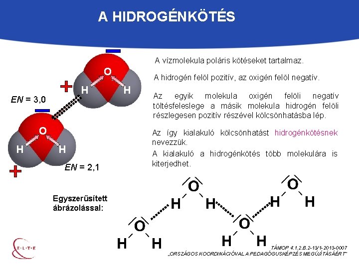 A HIDROGÉNKÖTÉS A vízmolekula poláris kötéseket tartalmaz. O H EN = 3, 0 O