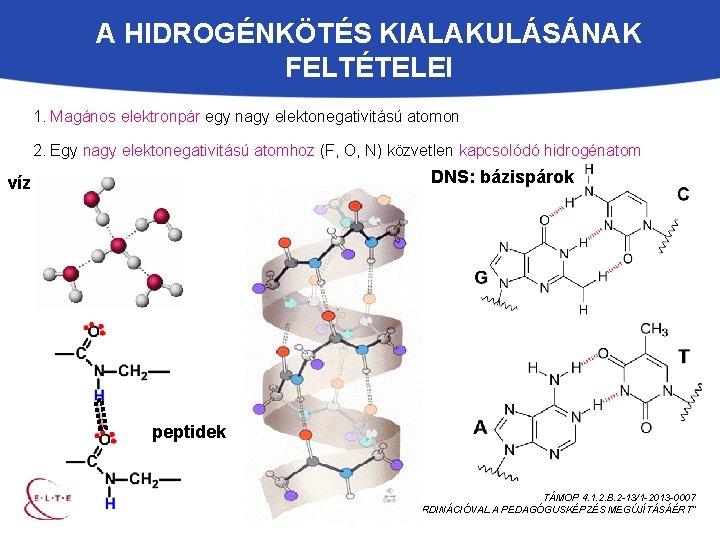 A HIDROGÉNKÖTÉS KIALAKULÁSÁNAK FELTÉTELEI 1. Magános elektronpár egy nagy elektonegativitású atomon 2. Egy nagy