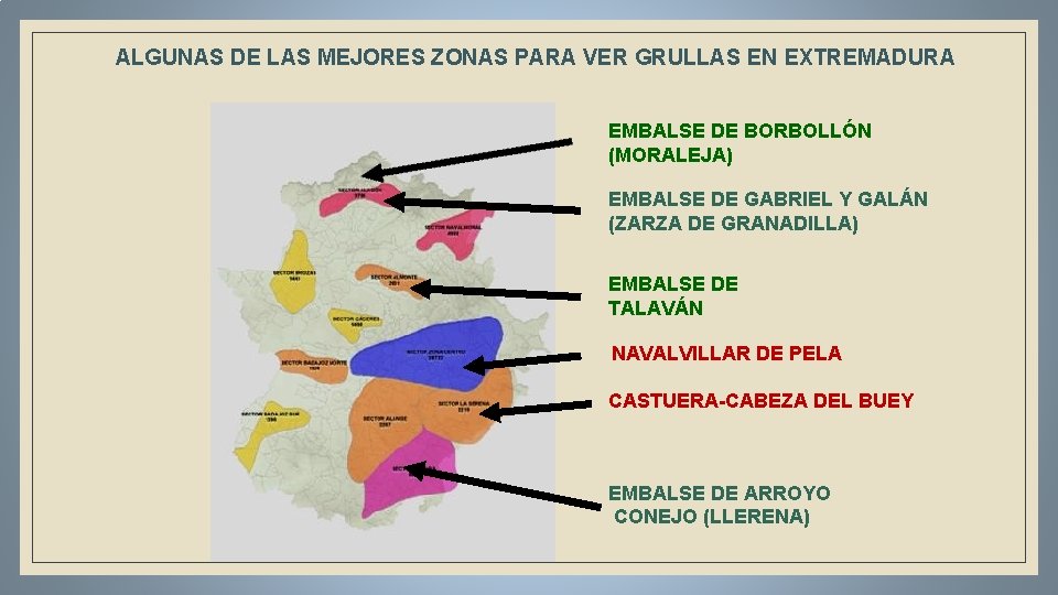 ALGUNAS DE LAS MEJORES ZONAS PARA VER GRULLAS EN EXTREMADURA EMBALSE DE BORBOLLÓN (MORALEJA)