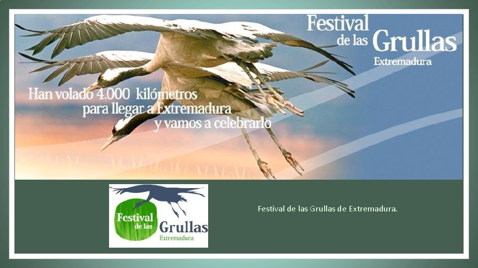 Festival de las Grullas de Extremadura. 