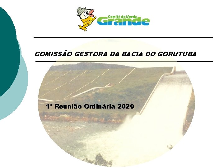 COMISSÃO GESTORA DA BACIA DO GORUTUBA 1ª Reunião Ordinária 2020 