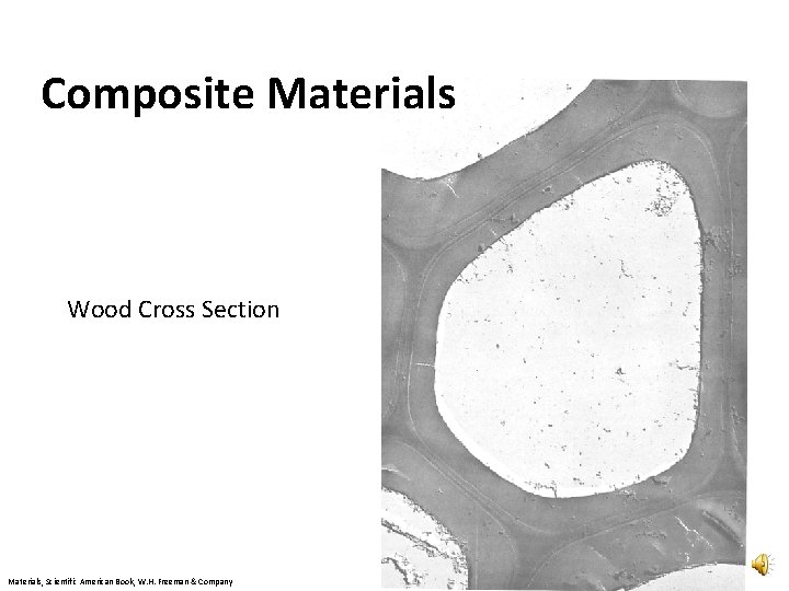 Composite Materials Wood Cross Section Materials, Scientific American Book, W. H. Freeman & Company