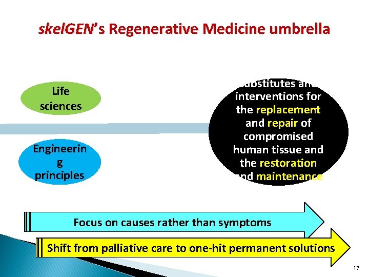 skel. GEN’s Regenerative Medicine umbrella Life sciences Engineerin g principles Biological substitutes and interventions