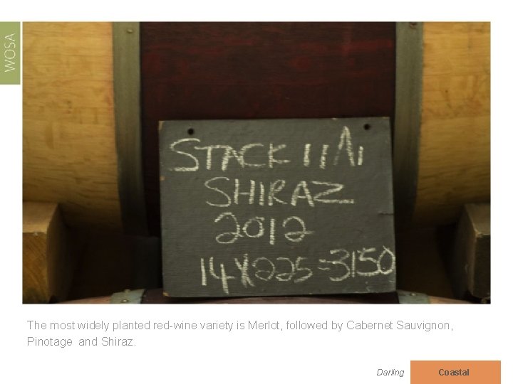 The most widely planted red-wine variety is Merlot, followed by Cabernet Sauvignon, Pinotage and