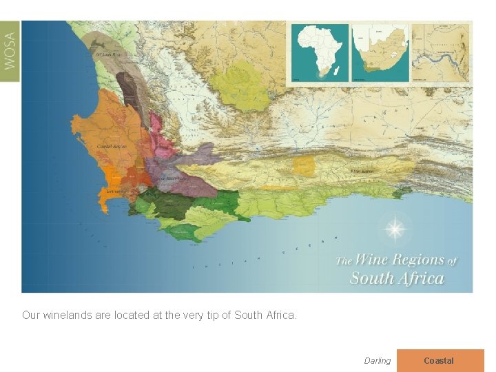 Our winelands are located at the very tip of South Africa. Darling Coastal 