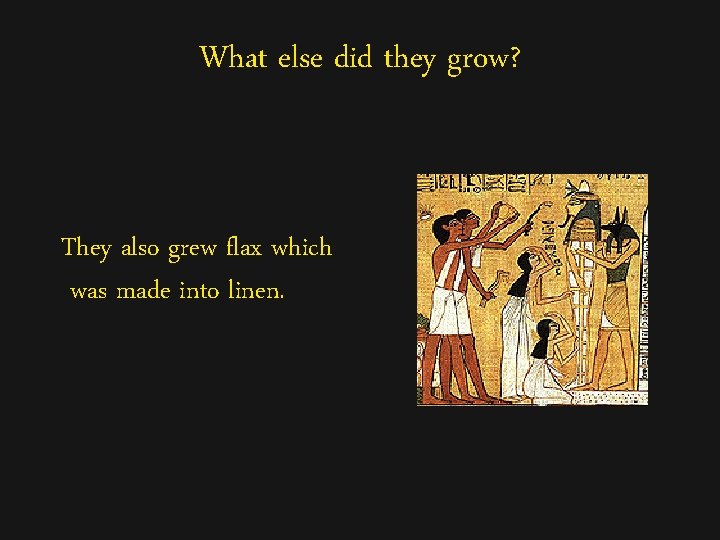 What else did they grow? They also grew flax which was made into linen.