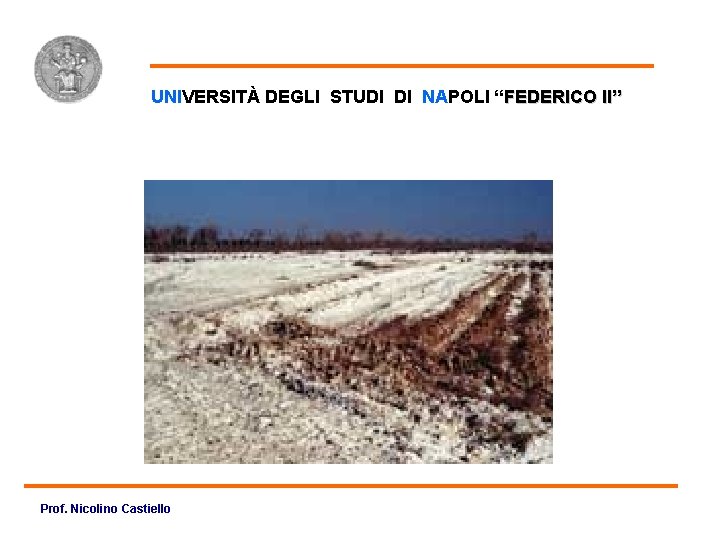 Foto salinizzazione UNIVERSITÀ DEGLI STUDI DI NAPOLI “FEDERICO II” Prof. Nicolino Castiello 