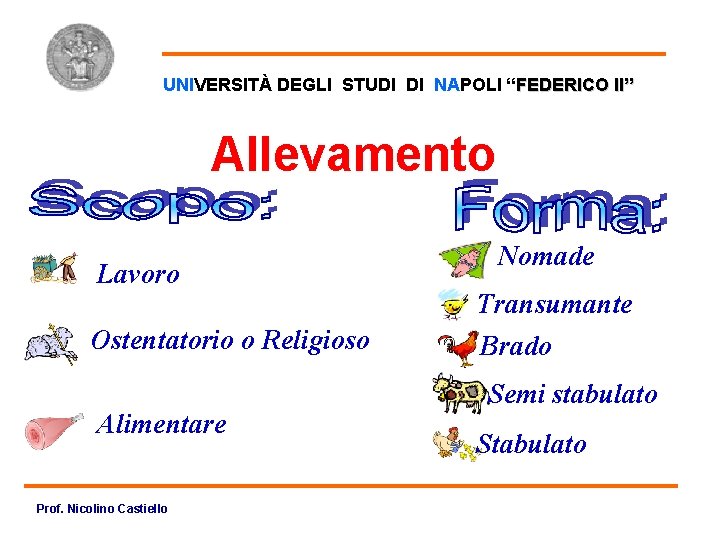 Allevamento UNIVERSITÀ DEGLI STUDI DI NAPOLI “FEDERICO II” Allevamento Lavoro Ostentatorio o Religioso Alimentare