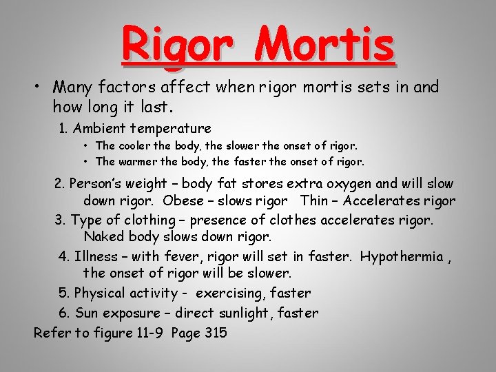 Rigor Mortis • Many factors affect when rigor mortis sets in and how long